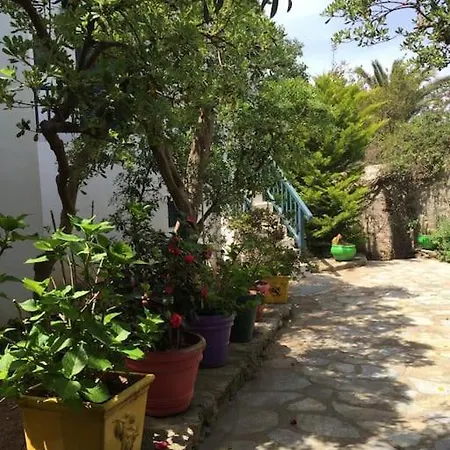 Beautiful, Sunny In Mykonos Town